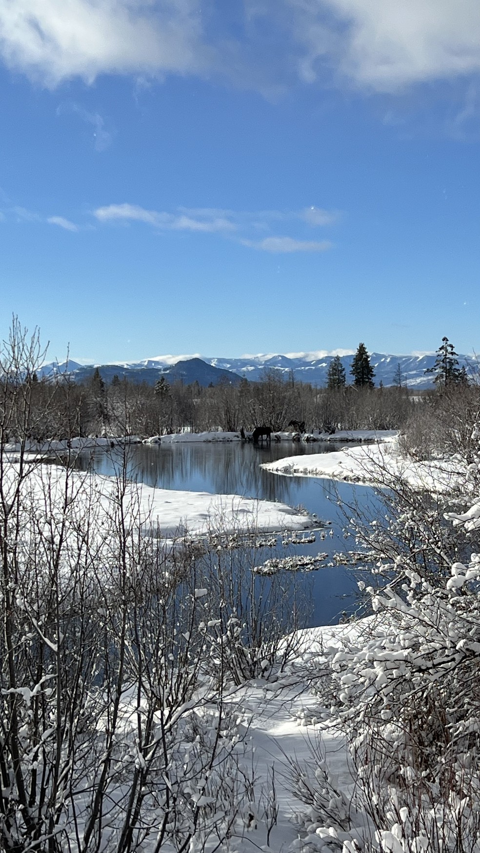 Roteiro em Jackson Hole, nos EUA — Foto: Arquivo pessoal