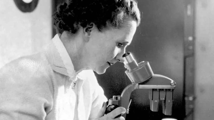 Rachel Carson: quem foi a bióloga que criou o movimento ambientalista moderno