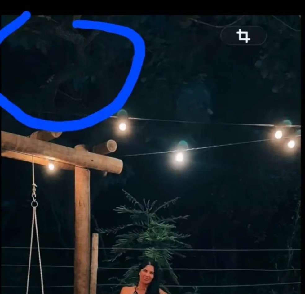 Kelly Castelano gravou um vídeo sem saber que uma onça a observava atentamente nas árvores — Foto: Reprodução/TikTok