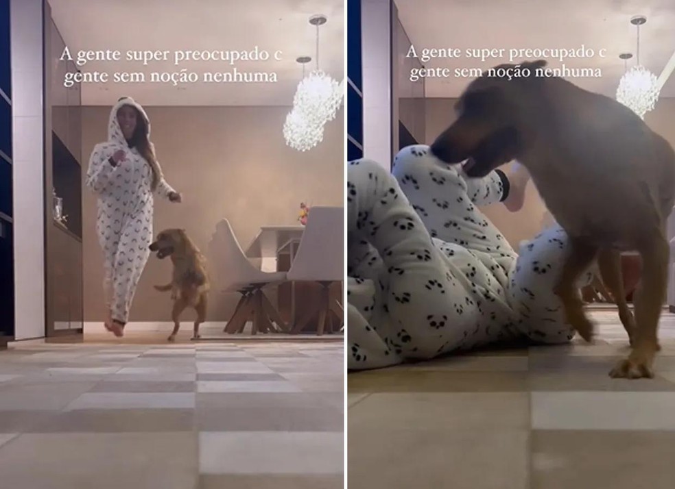 Maria Lina responde seguidora que a acusou de abandonar cachorro de estimação (Foto: Reprodução/Instagram) — Foto: Marie Claire