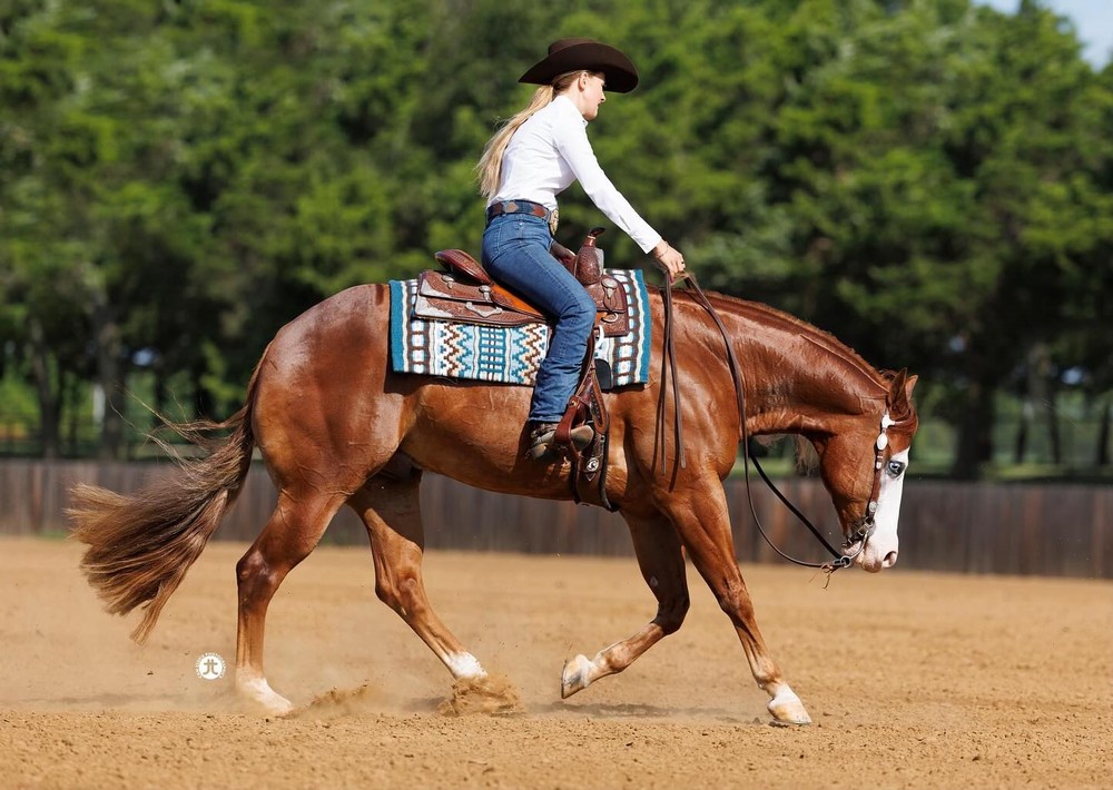 Gina: quem é a filha de Michael Schumacher que inspirou o pai a fazer