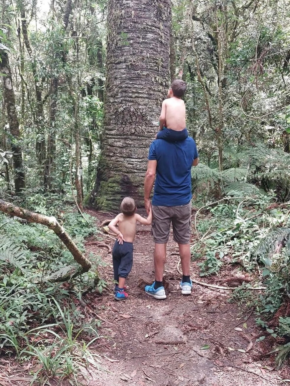 Andreia Sadi comemora aniversário de 5 anos dos filhos gêmeos: 'Ensinam todo dia o que realmente importa' — Foto: Reprodução/ Instagram