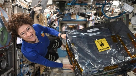Conheça a astronauta Christina Koch, primeira mulher a sobrevoar a Lua Conheça a astronauta Christina Koch, primeira mulher a sobrevoar a Lua