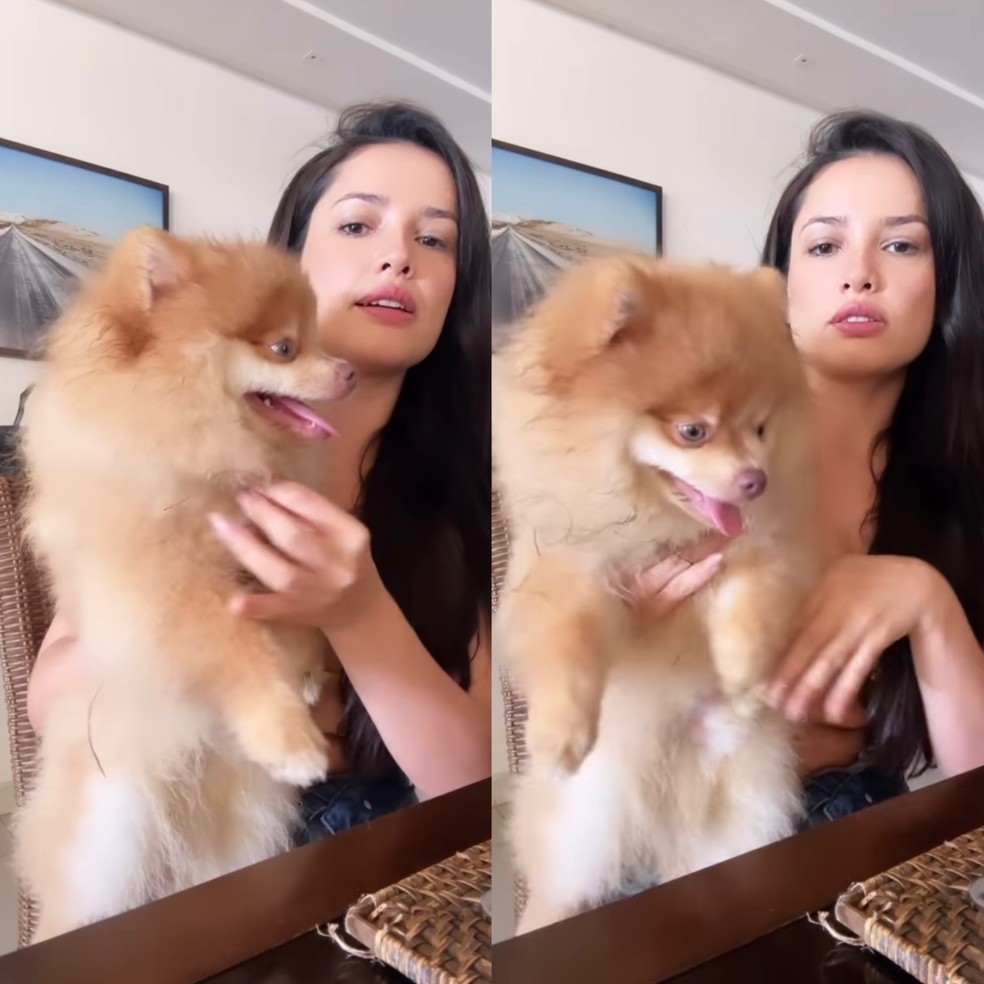 Juliette passa por perrengue com seu cachorro — Foto: Reprodução/Instagram