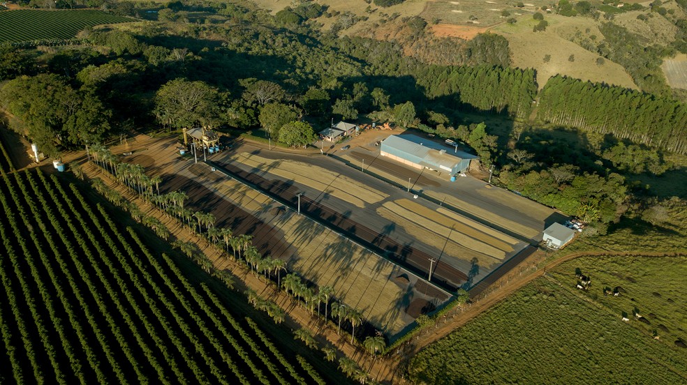 Uma área da Fazenda Reserva Heitor em visão aérea — Foto: Divulgação