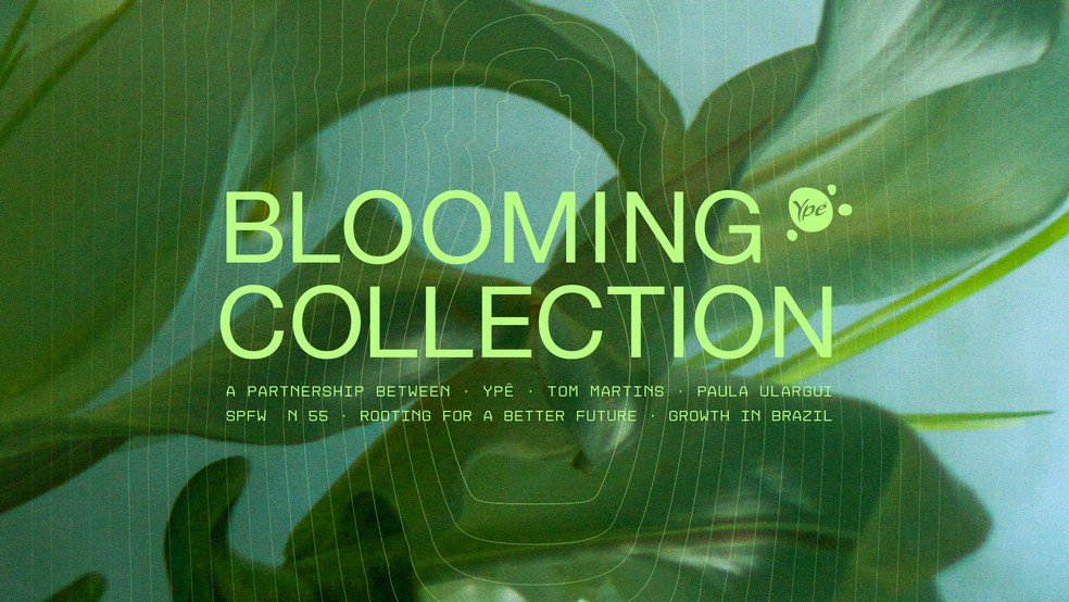 Blooming Collection é o resultado de pesquisas da marca na área — Foto: Divulgação/Ypê