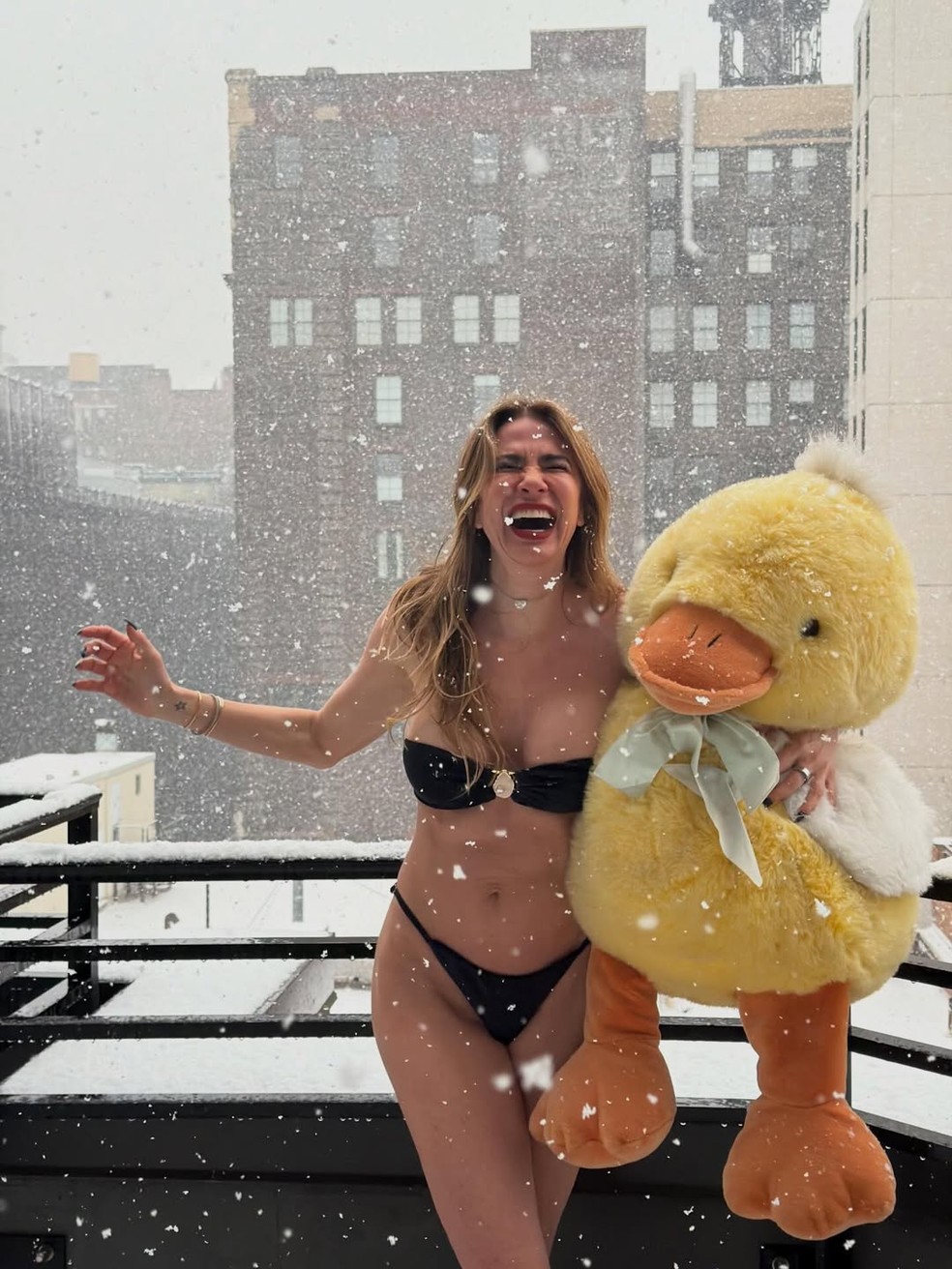 Luciana Gimenez se prepara para nevasca que promete ser avassaladora em Nova York — Foto: Reprodução / Instagram @lucianagimenez