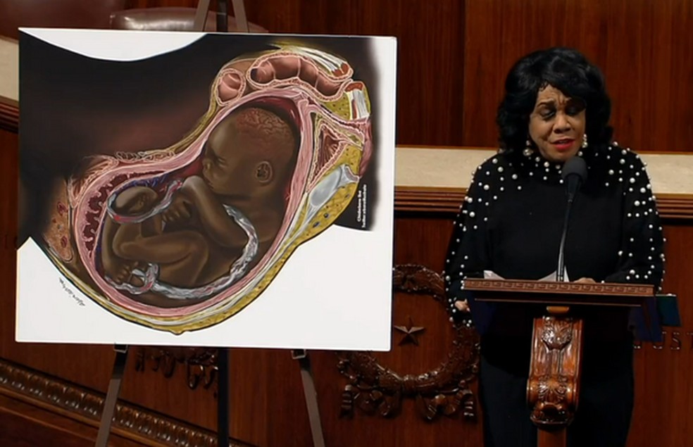 Trecho de sessão em que congressista da Flórida, Frederica Wilson, relembra impossibilidade de interromper gestação de feto natimorto — Foto: Reprodução/Twitter