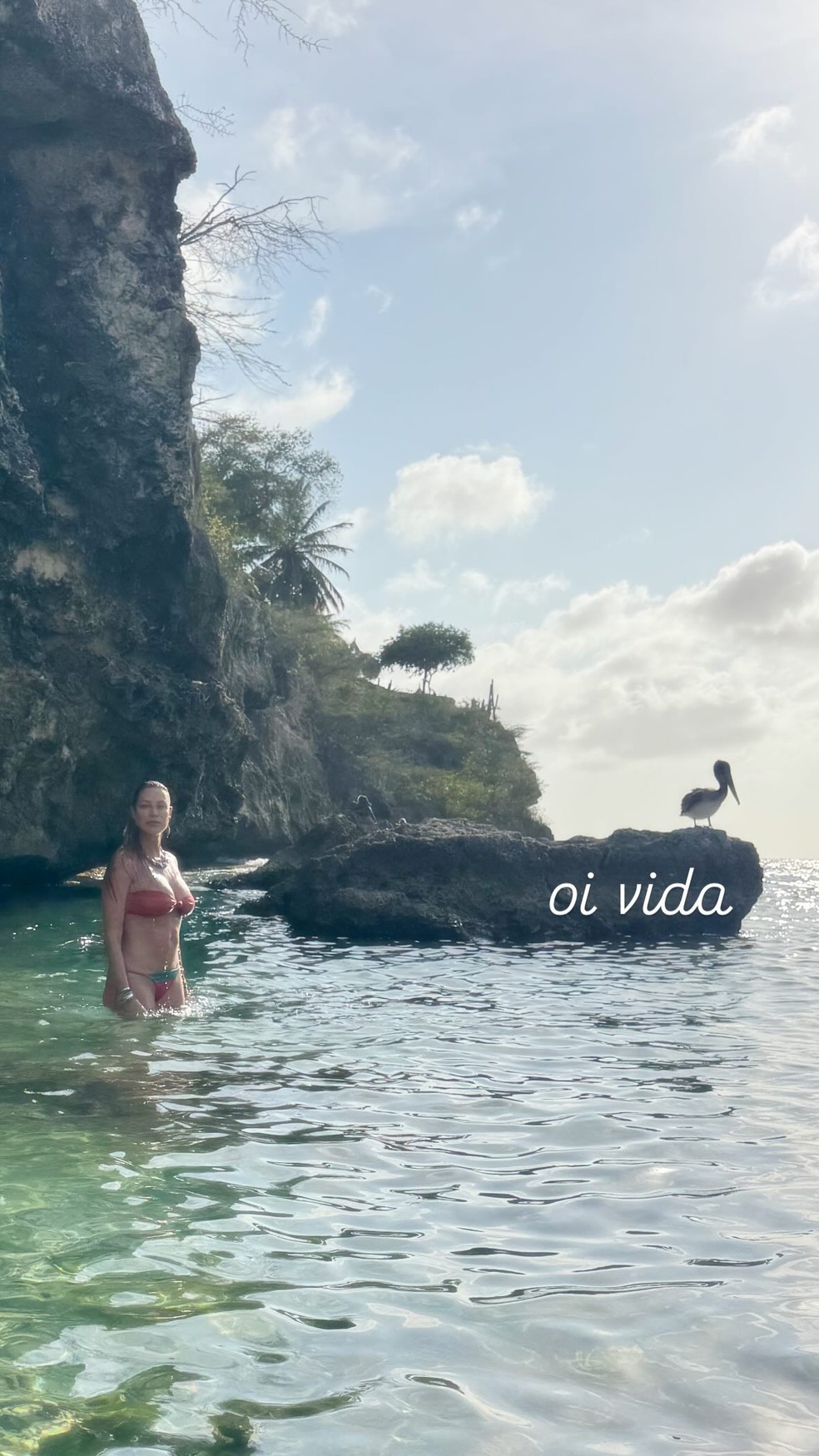 Luana Piovani nadando — Foto: Reprodução/ Instagram @luapio