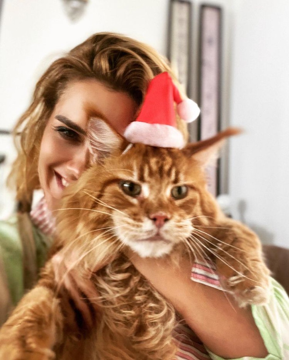 Caroline Dieckmann encanta com clique de Natal segurando gatinho de estimação — Foto: Reprodução / Instagram
