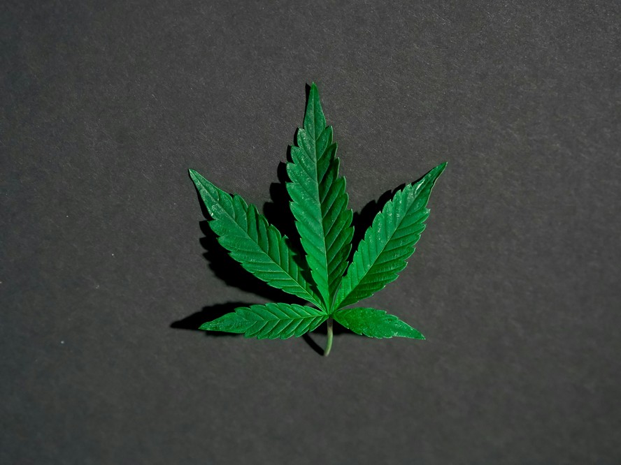 Entenda como maconha e cannabis medicinal podem (ou não) aumentar a libido