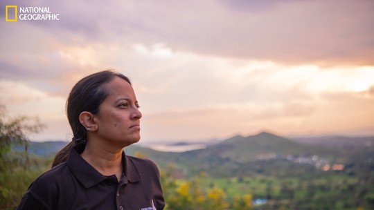 ‘Se as pessoas soubessem o que acontece com os animais, haveria indignação pública’, afirma ambientalista Krithi Karanth