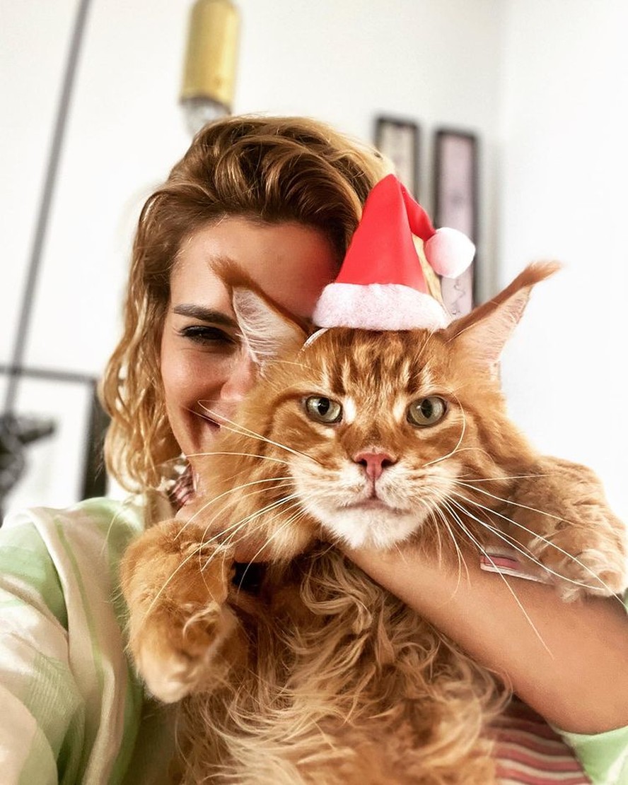 Carolina Dieckmann encanta com clique de Natal com gatinho de estimação
