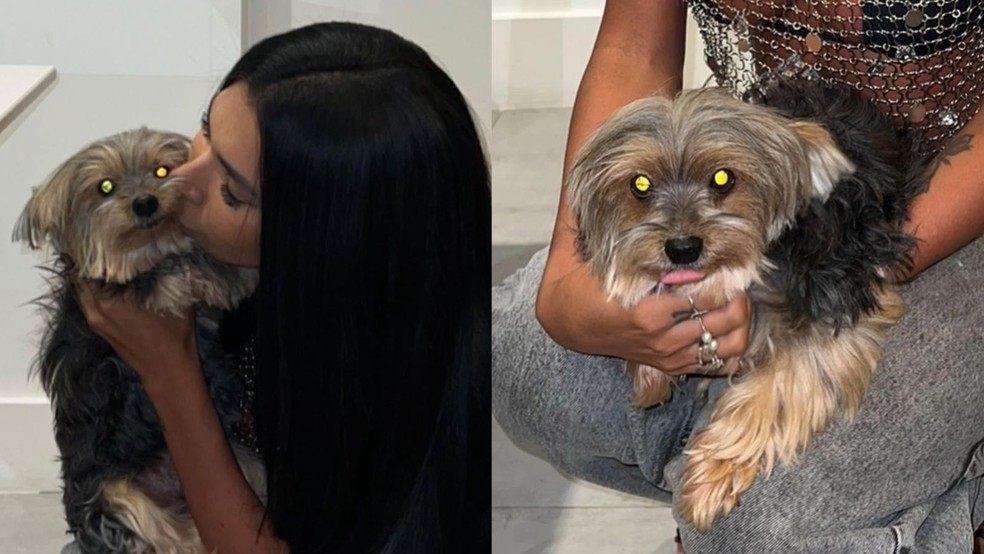 Pocah pede ajuda para encontrar cachorrinha — Foto: Reprodução/Instagram