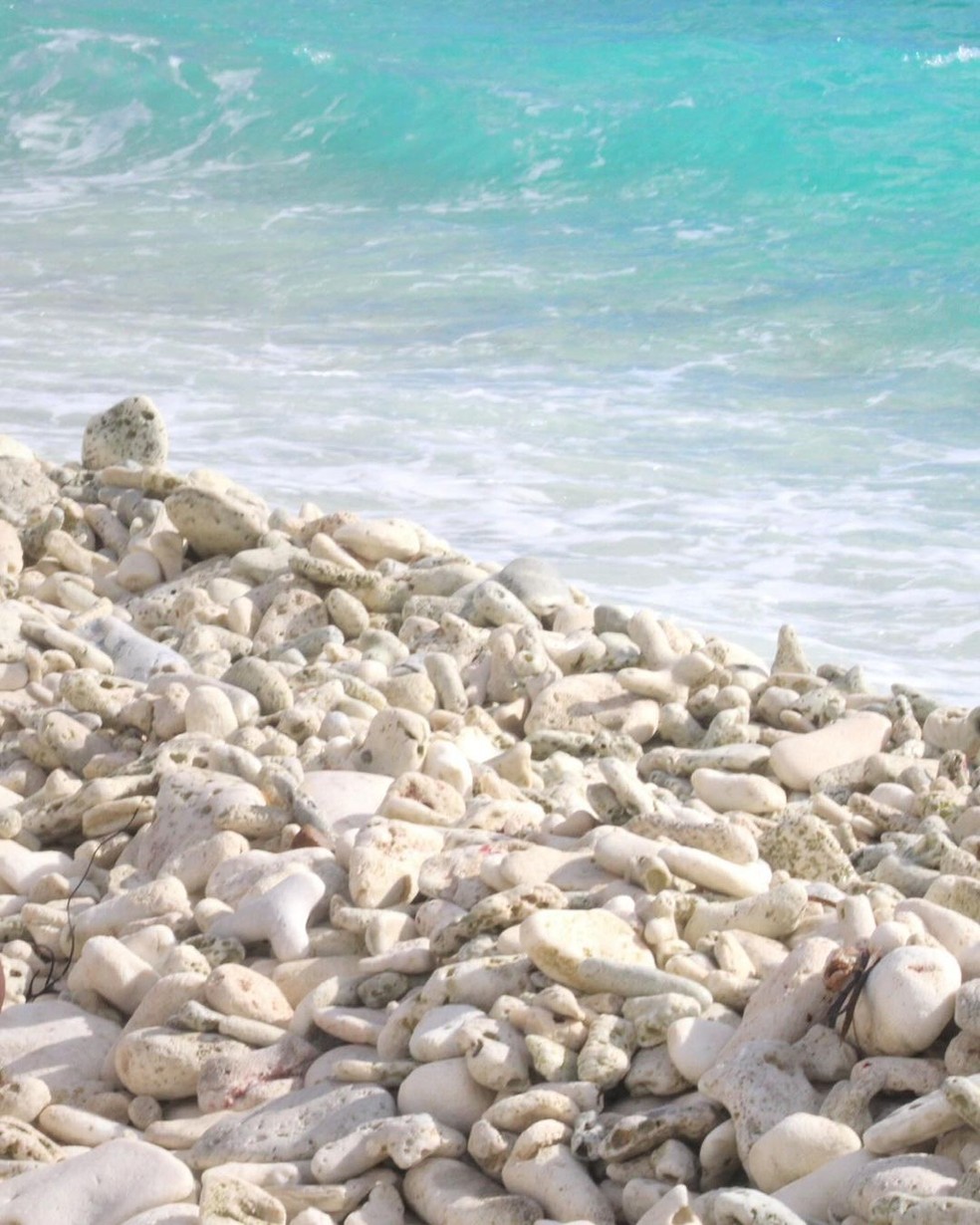 Erika Januza posta fotos de água cristalina do mar de Curaçao, ilha holandesa no Caribe — Foto: Reprodução/Instagram