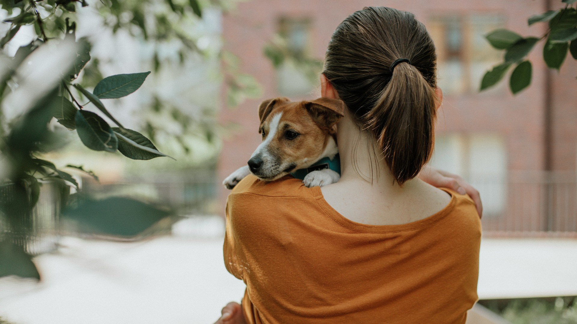 Ela conta como ex usou seus pets para se vingar após separação