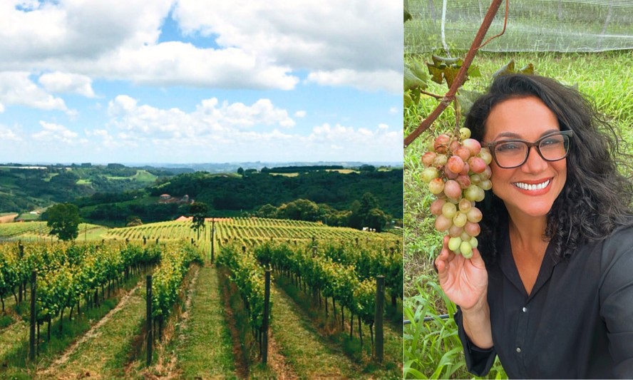 Serra Gaúcha: o Brasil que te recebe com vinho e afeto, por Elaine de Oliveira