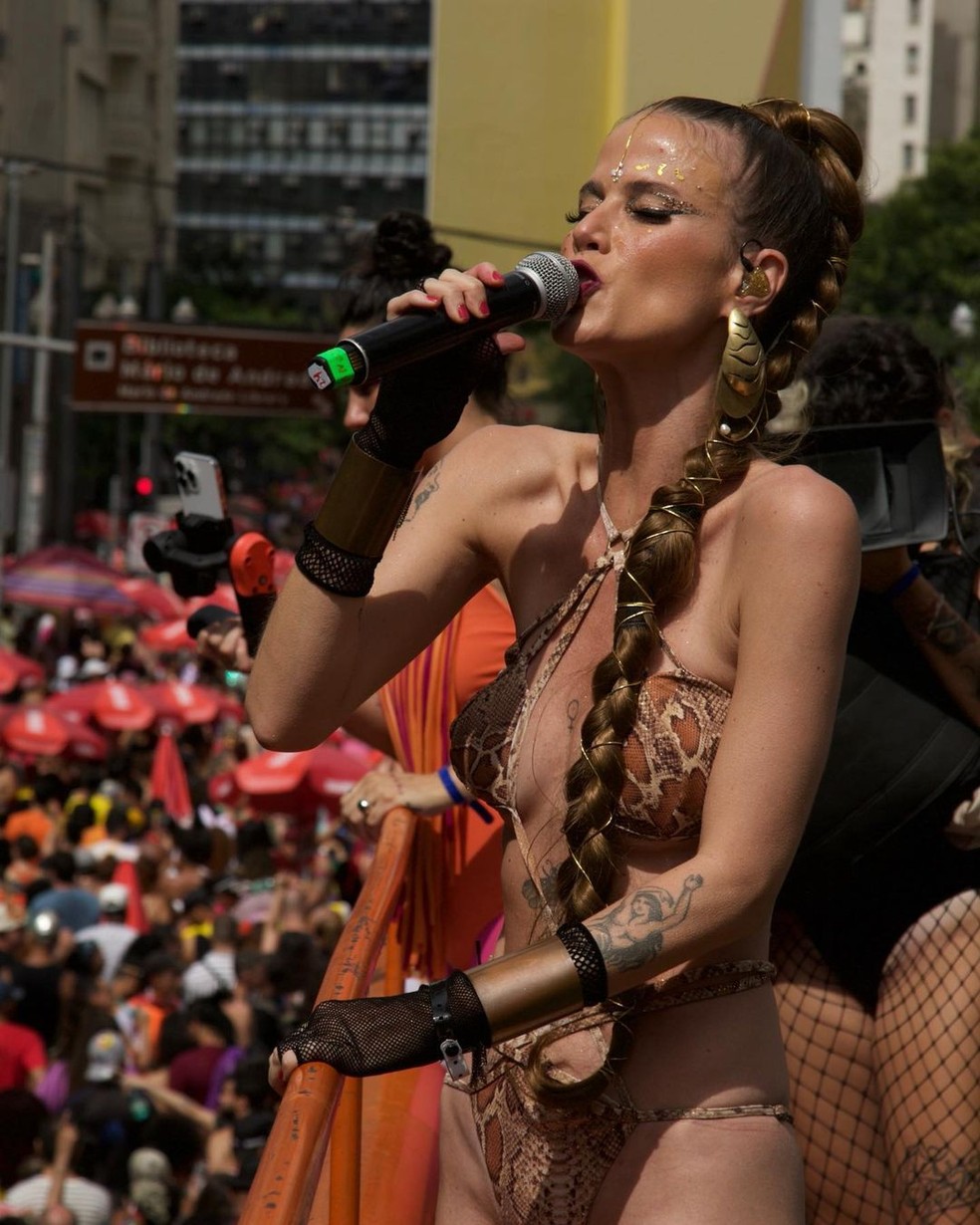 Ana Cañas canta no Bloco Pagu, em São Paulo — Foto: Reprodução Instagram