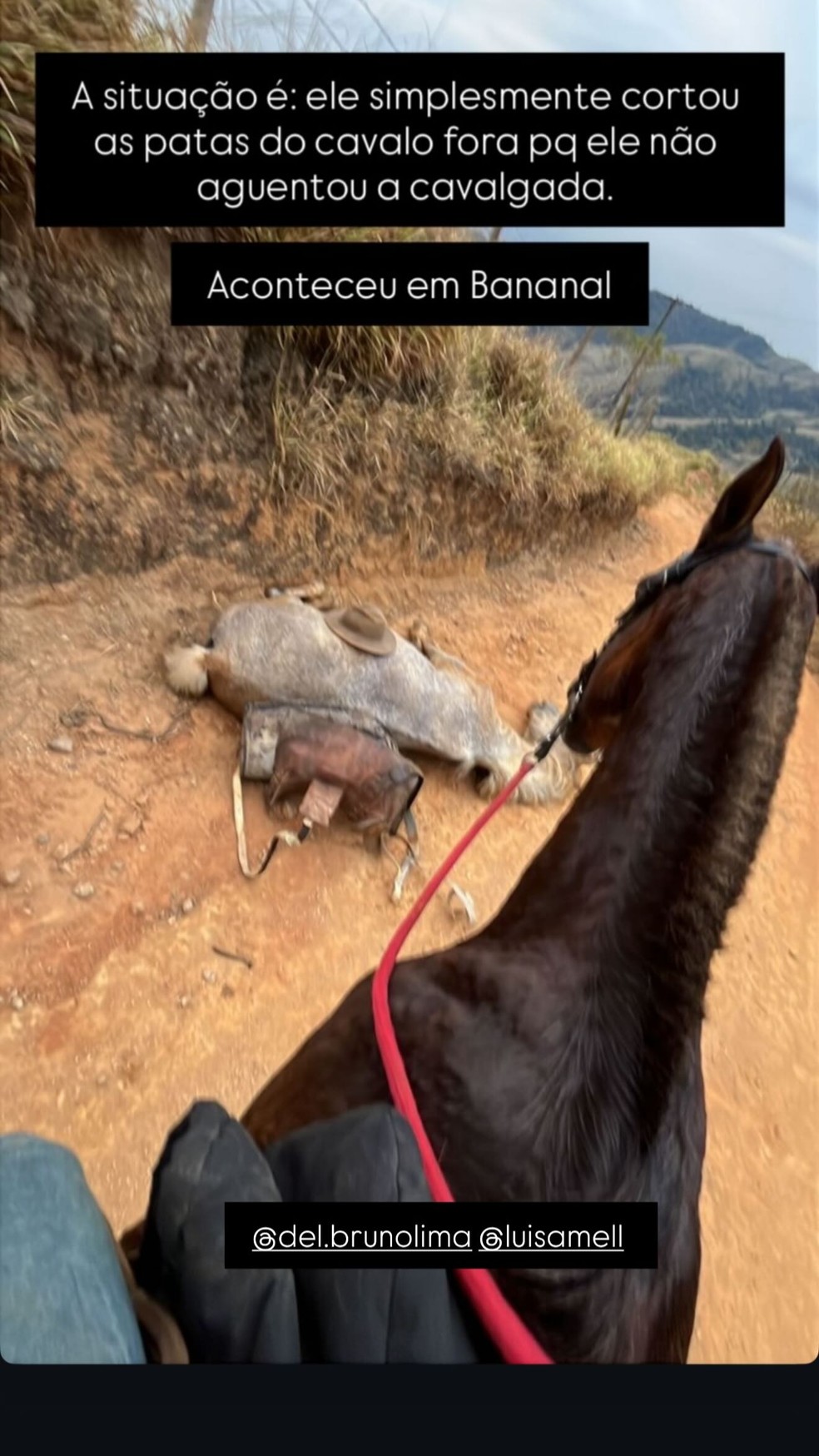 Ana Castela denuncia crime de maus-tratos após receber vídeo de cavalo agonizando — Foto: Reprodução/Instagram