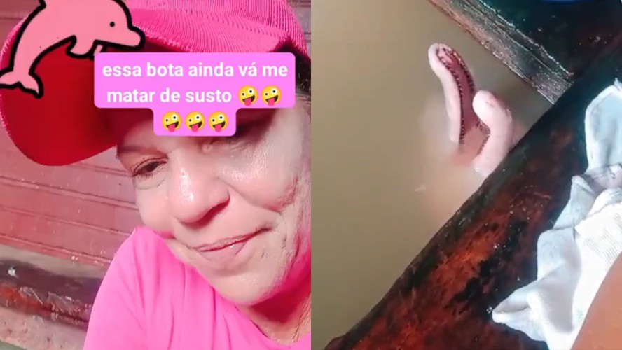 Mulher viraliza com boto-cor-de-rosa na pia
