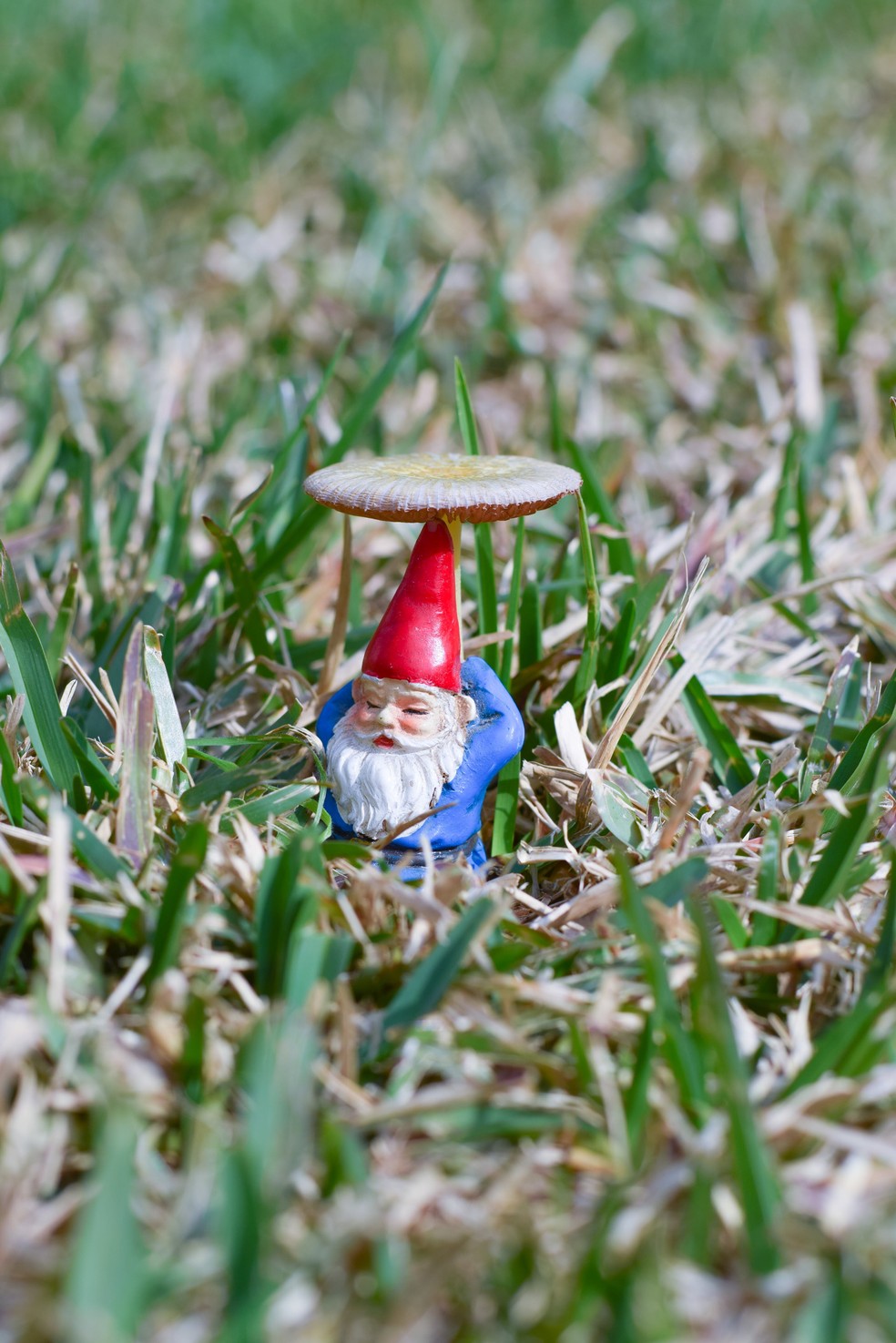 Os gnomos de jardim são usados sobretudo em casas no exterior — Foto: Reprodução/Pexels