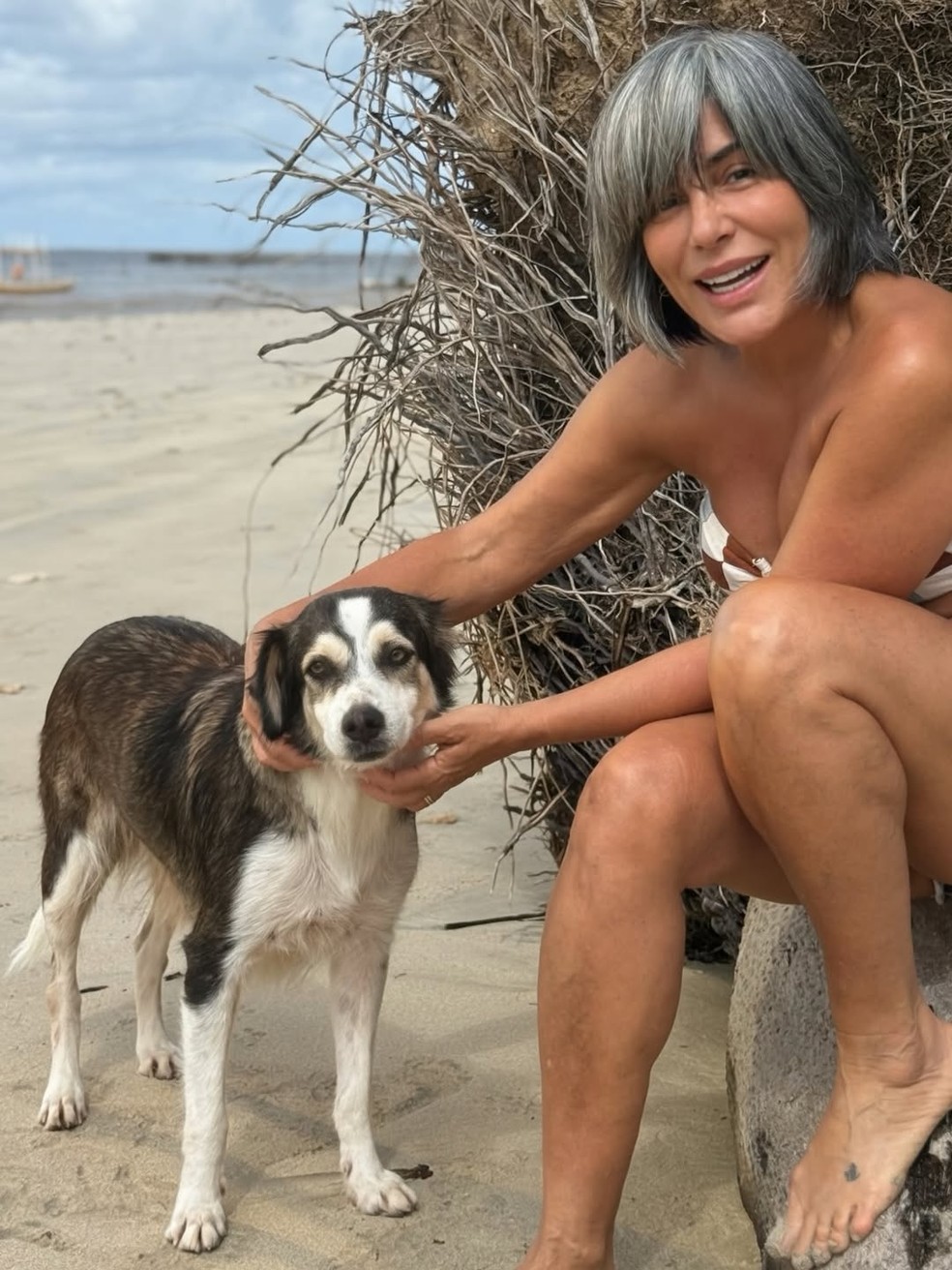 De biquíni, Gloria Pires brinca com cachorro — Foto: Reprodução/ Instagram @gpiresoficial