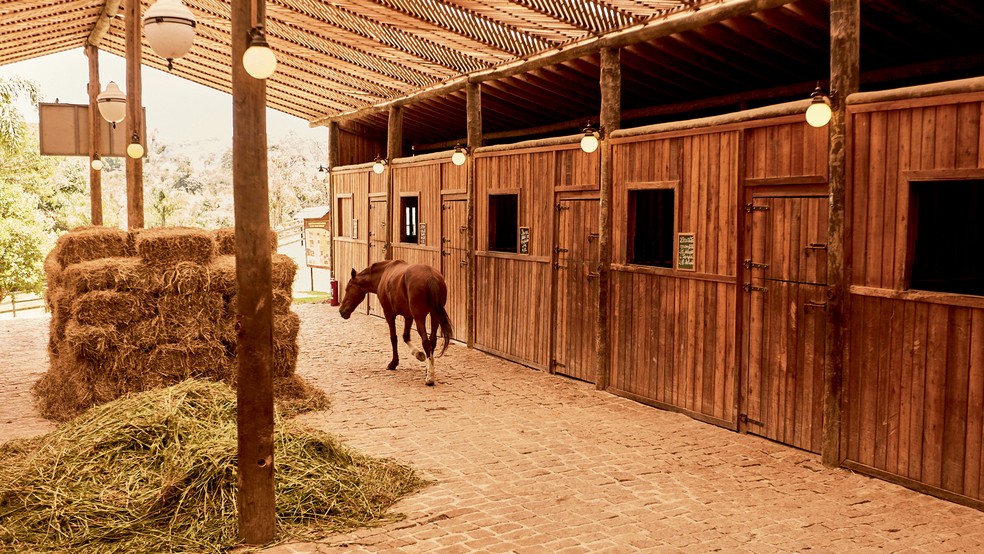 A hípica oferece passeios e recebe celebrações — Foto: Divulgação