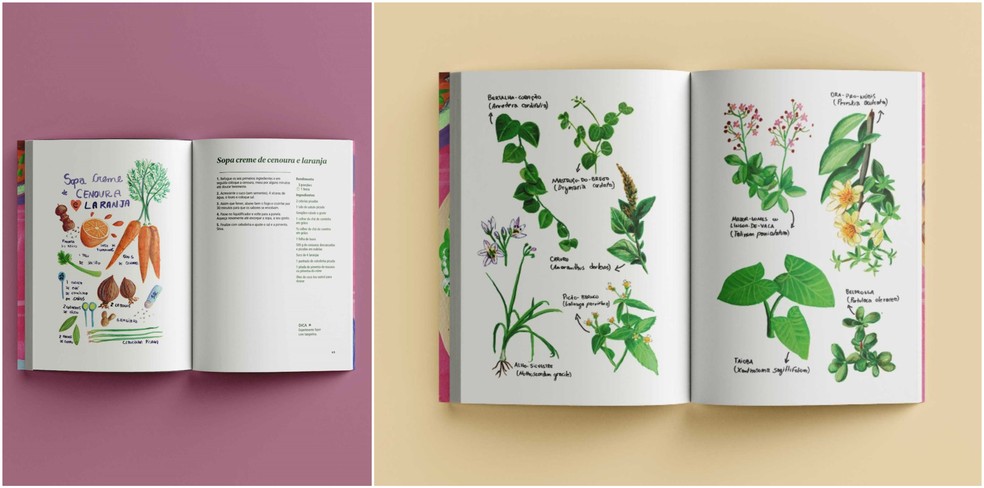 Receita e as plantas do jardim: é tudo criação da chef artista — Foto: Camila Fontenele