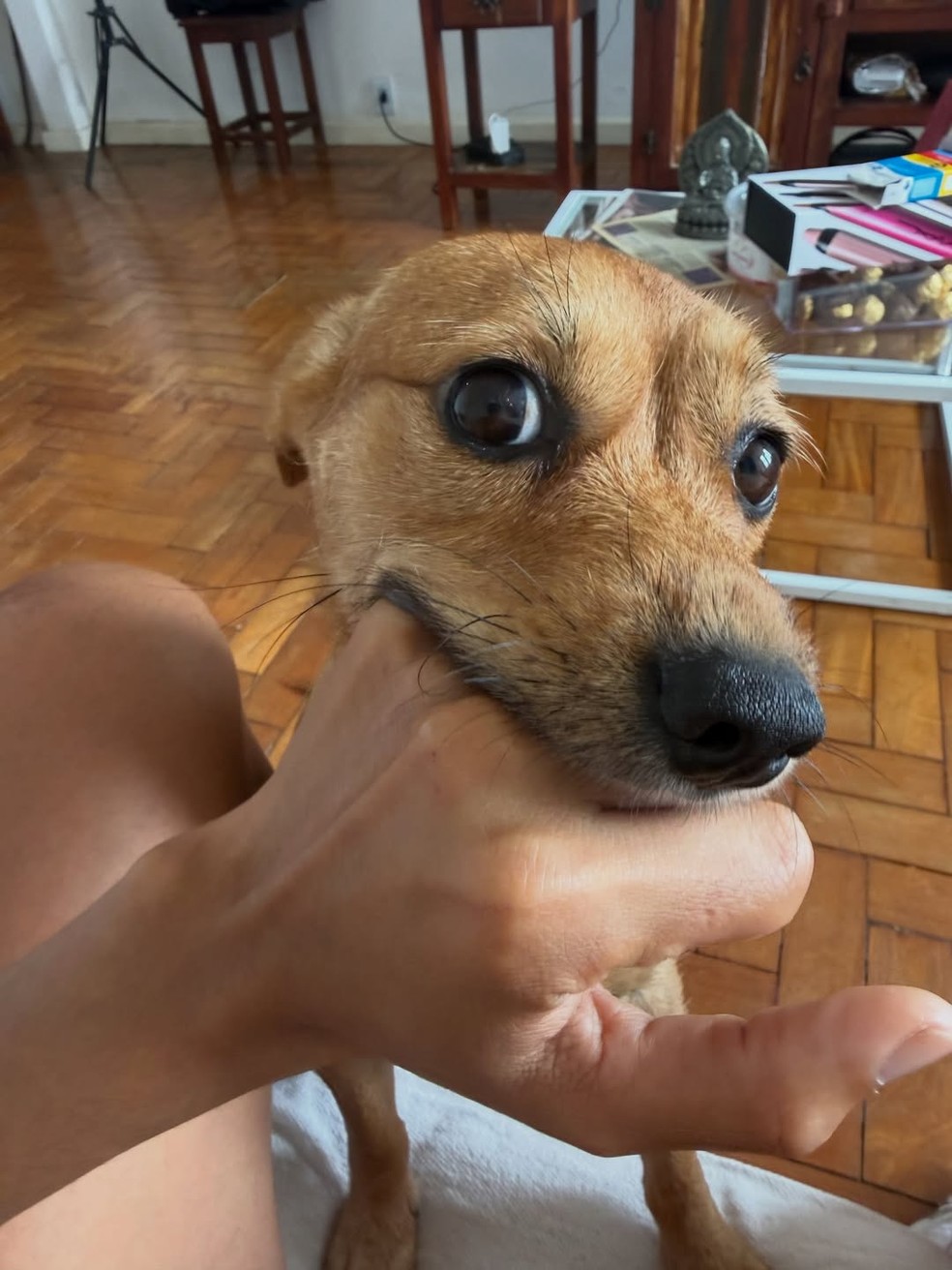 Sucesso em 'Três Graças', Gabriela Loran posa nua em cachoeira e recebe chuva de elogios — Foto: Reprodução/Instagram