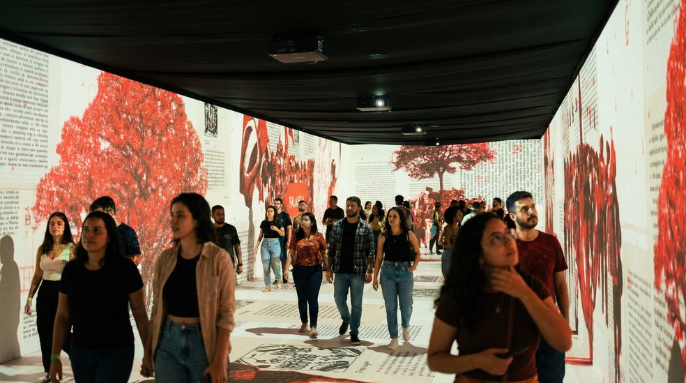 Amazônia Imersiva apresenta um percurso 360º aos visitantes — Foto: Divulgação