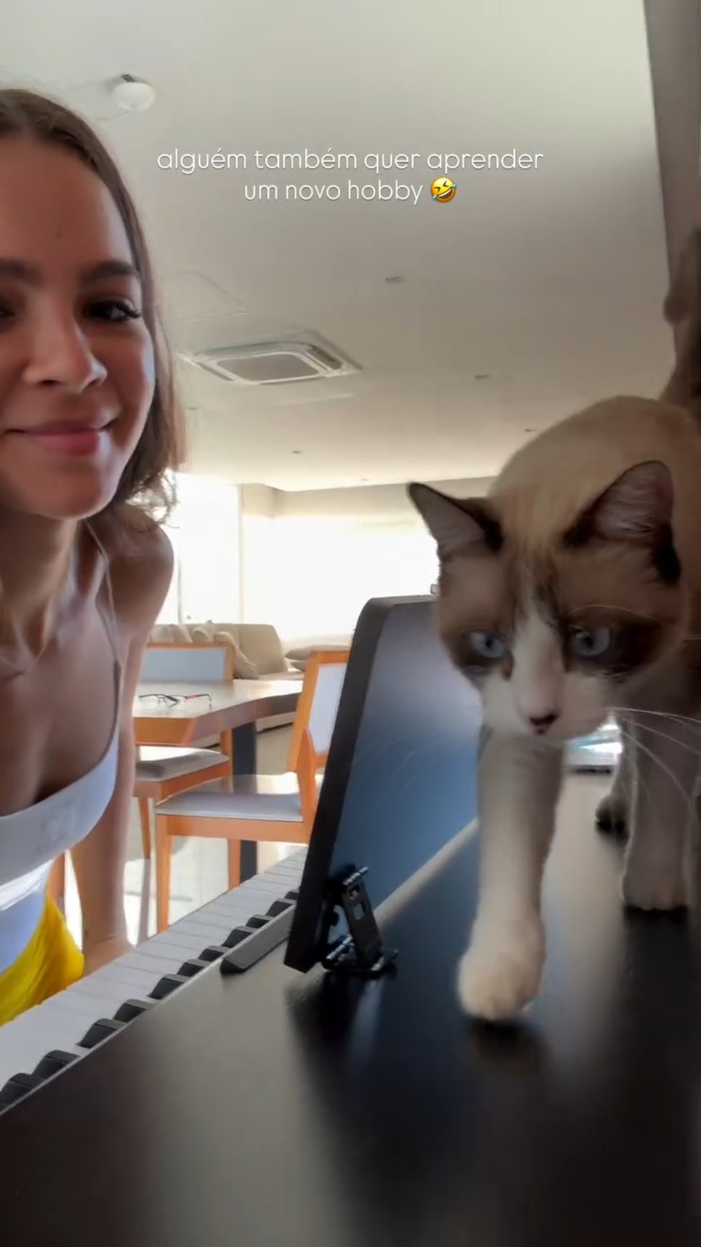 Mel Maia é atrapalhada por sua gatinha ao tocar piano — Foto: Reprodução/Instagram