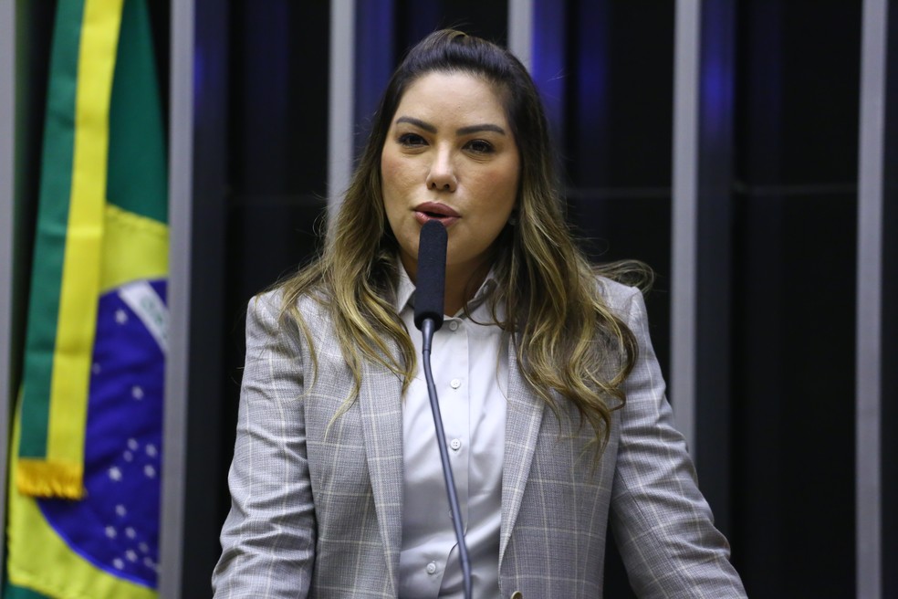 Deputada Renilce Nicodemos (MDB-PA) pede para retirar assinatura de PL 1094/24, que equipara aborto a homicídio — Foto: Reprodução/Câmara dos Deputados