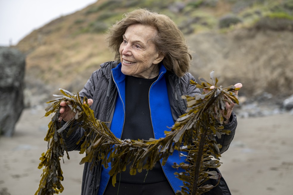 A Embaixadora Rolex Sylvia Earle carregando algas marinhas na Muir Beach, na Califórnia — Foto: Divulgação/© Rolex/Donald Miralle