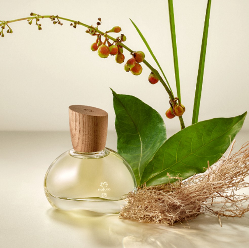 875 Vetiver Capitiú, Natura, R$ 395 — Foto: Reprodução