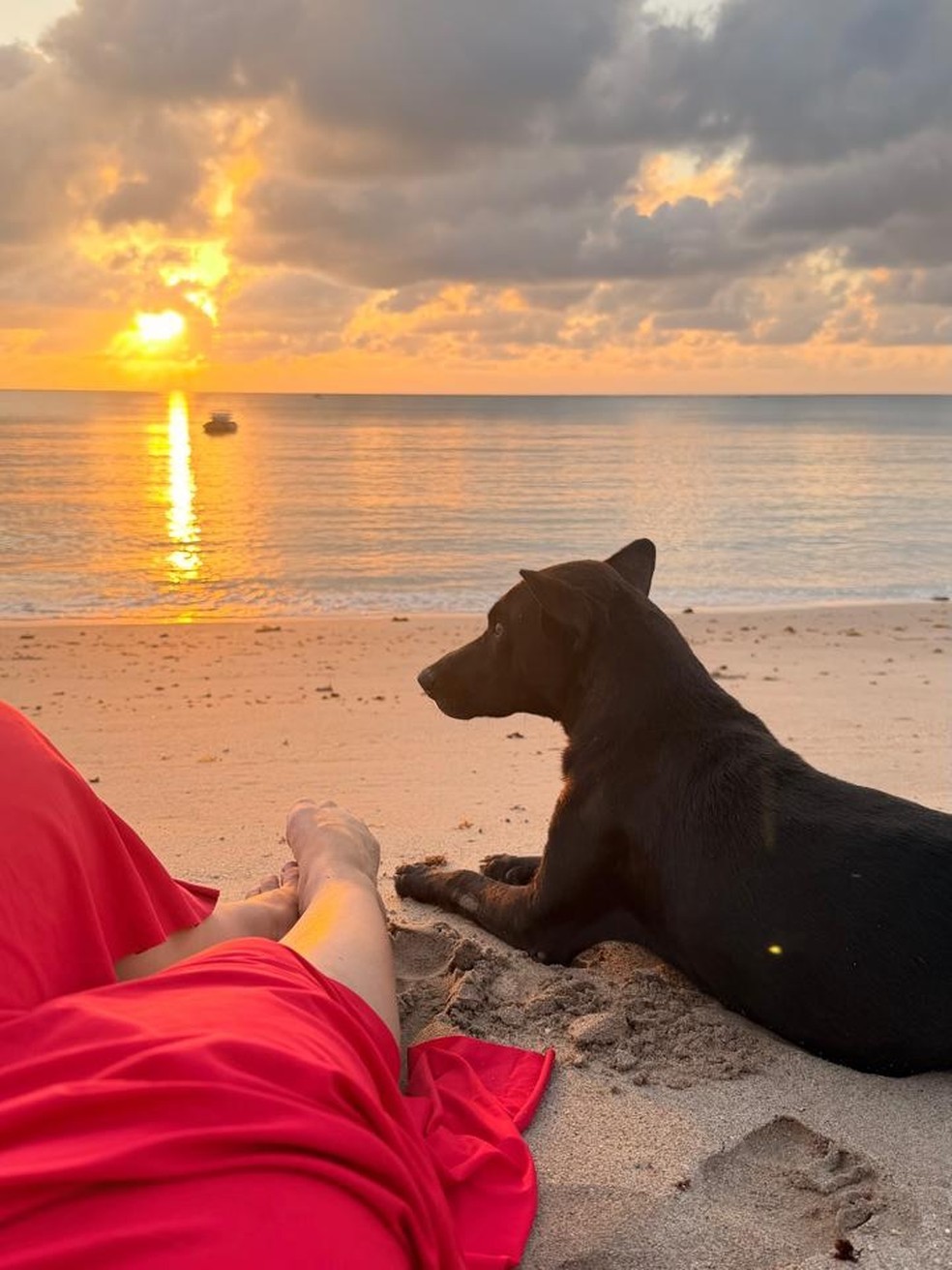 Solteira, Paolla Oliveira posa de maiô em viagem ao lado de amigas famosas — Foto: Reprodução/Instagram