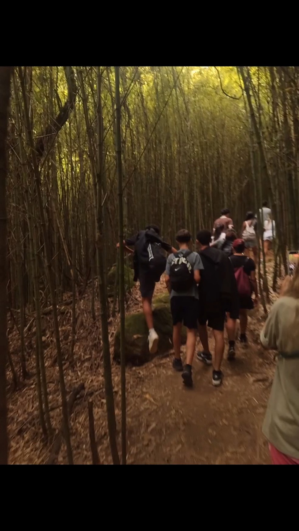 Claudia Mauro e Paulo César Grande viajam ao lado dos gêmeos — Foto: Reprodução/ Instagram