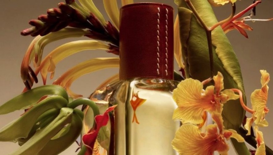 Melhores perfumes para viajar