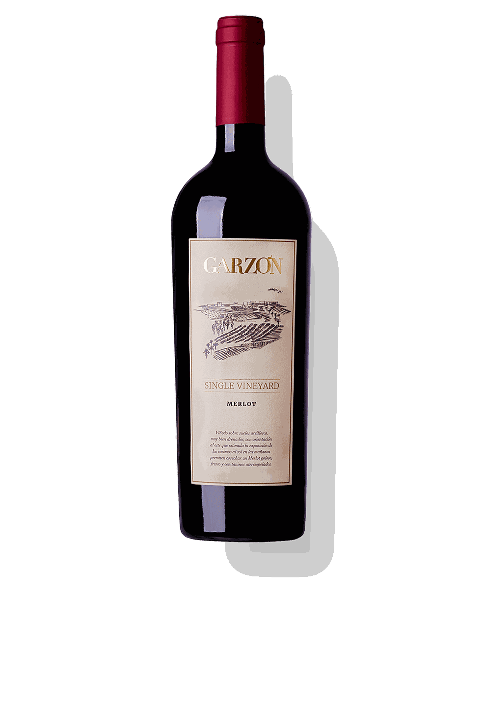 Garzón Single Vineyard Merlot — Foto: Reprodução
