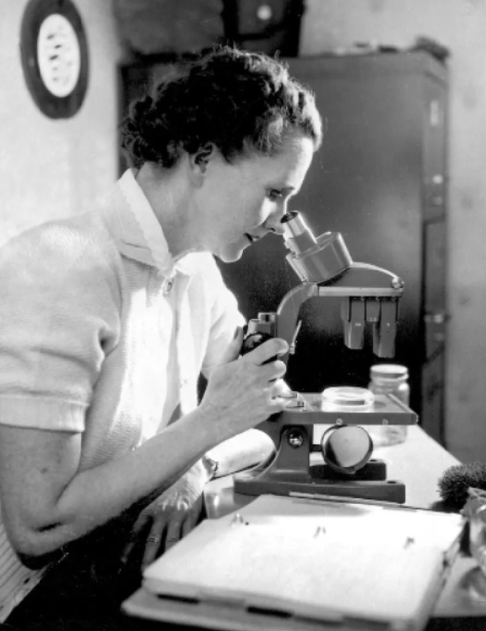 Livro 'Primavera Silenciosa', de Rachel Carson, ajudou a inflamar o movimento ambientalista e o transformou no que é hoje — Foto: Reprodução/Rachel Carson Council