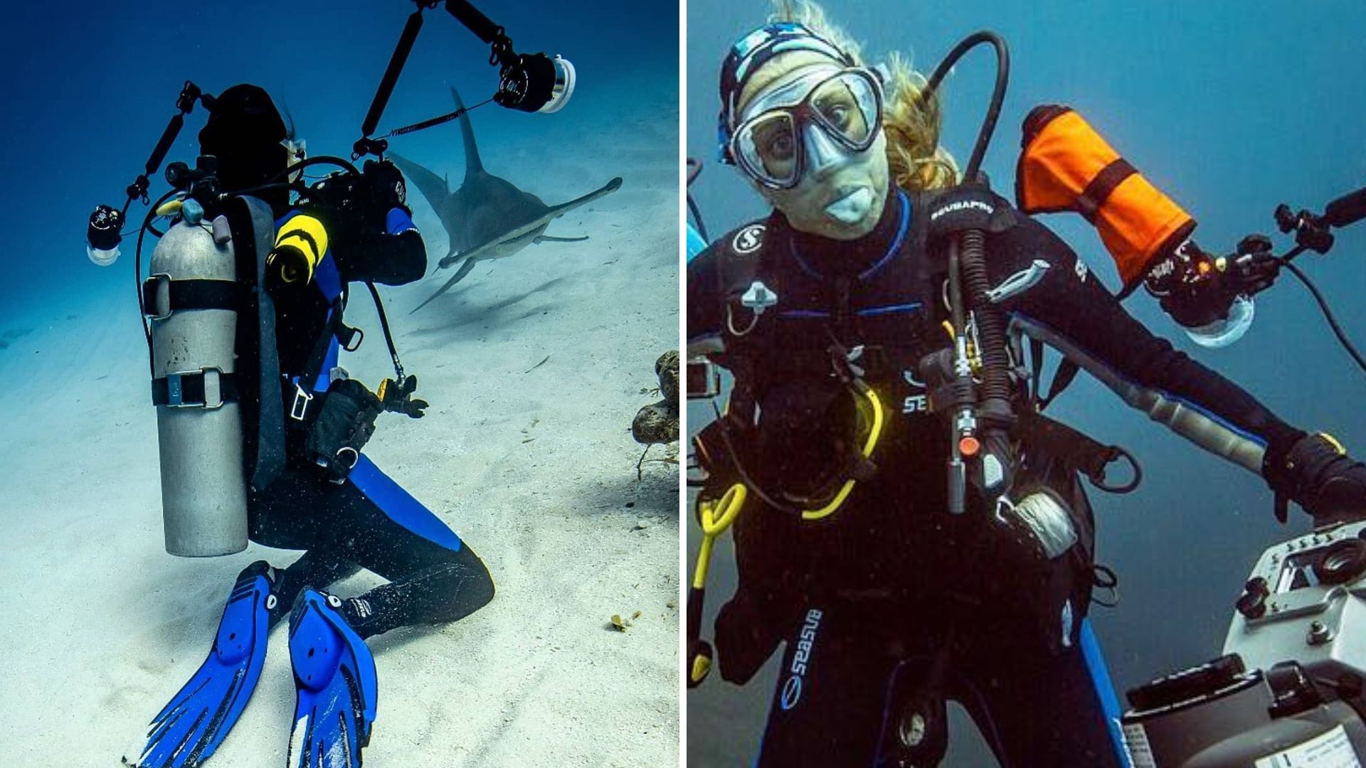 Brasileira supera pânico de mar e ganha prêmio internacional de melhor foto subaquática