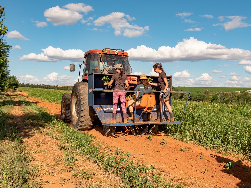 Paula Curiacos e as filhas, Malu e Fernanda, percorrendo uma das lavouras da Fazenda Três Meninas em cima de um trator — Foto: Divulgação