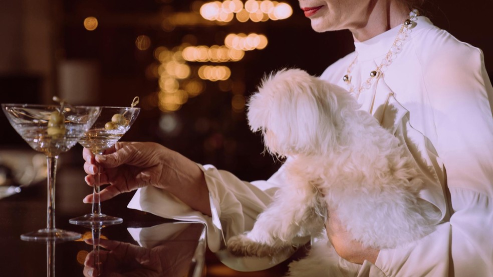 O clássico Dry Martini é refinado, assim como o signo de Virgem — Foto: Reprodução/Pexels