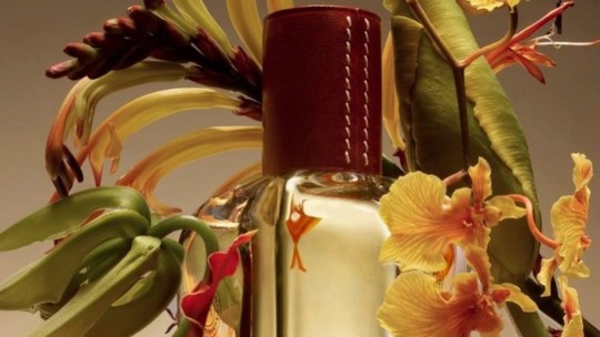 Estes são os melhores perfumes para viajar Estes são os melhores perfumes para viajar