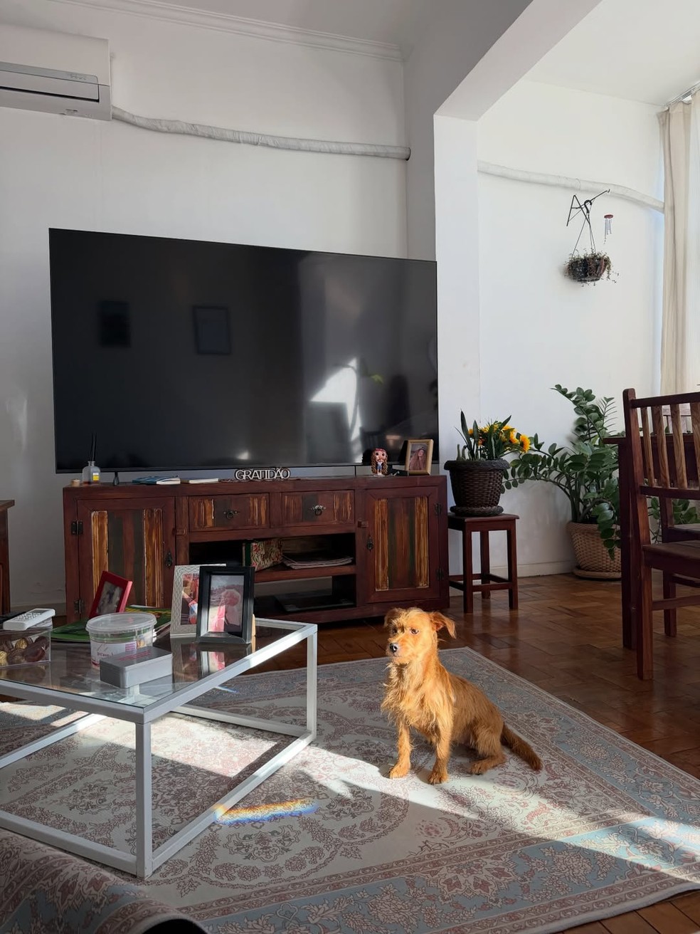 Sucesso em 'Três Graças', Gabriela Loran posa nua em cachoeira e recebe chuva de elogios — Foto: Reprodução/Instagram