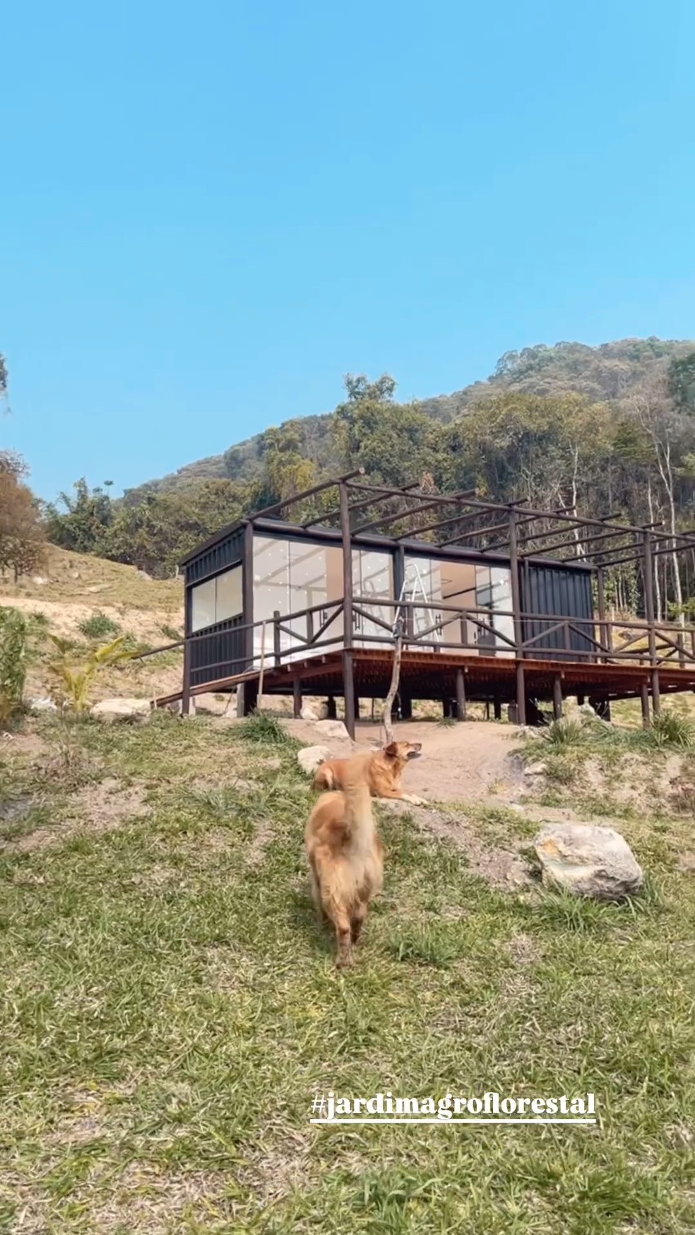 Bruno Gissoni mostra obras no sítio em que mora com Yanna Lavigne — Foto: Reprodução/Instagram