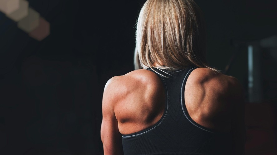 Ganho de massa muscular é um dos benefícios associados ao hormônio
