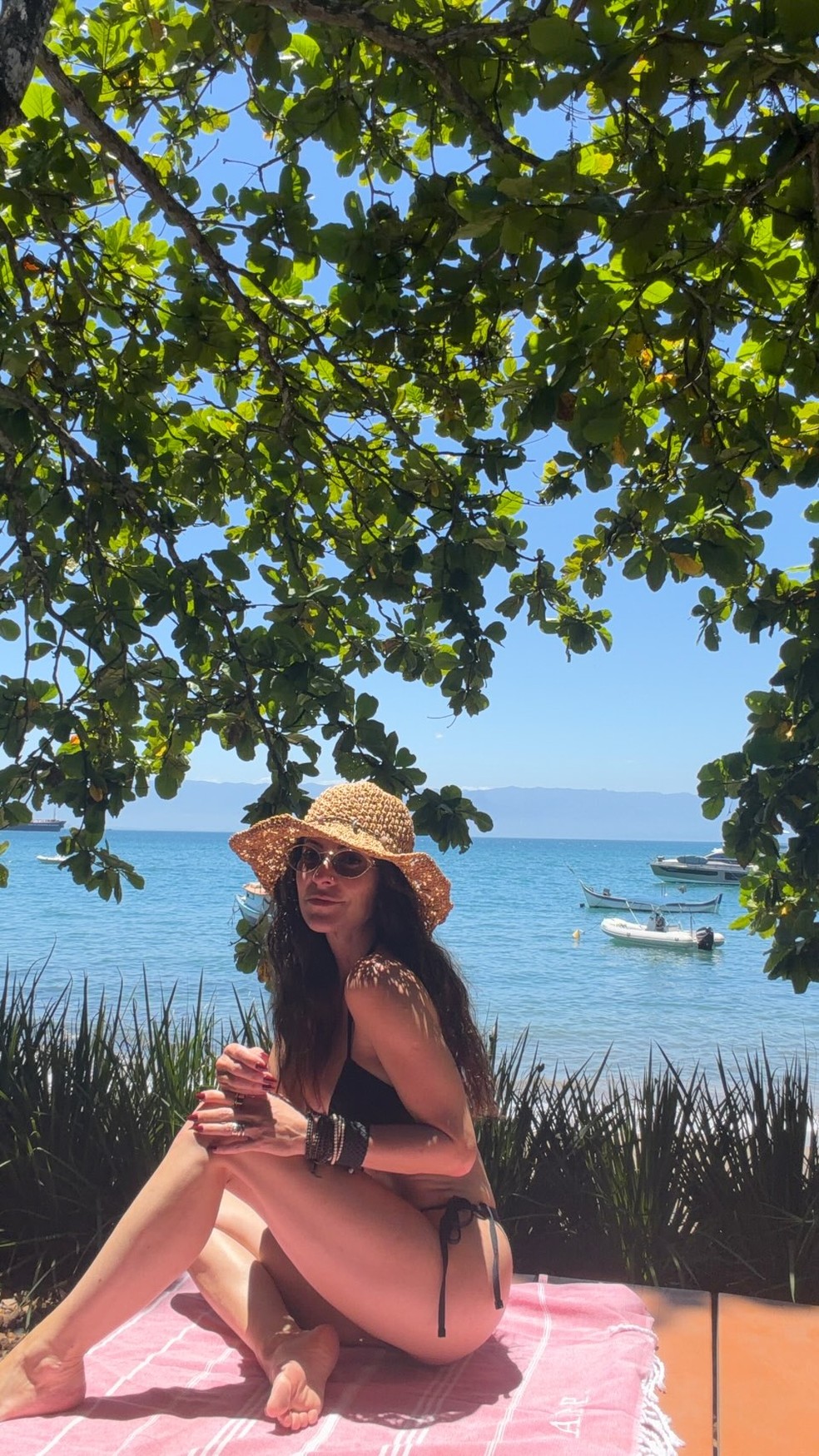 Ana Paula Padrão posa de biquíni — Foto: Reprodução/ Instagram