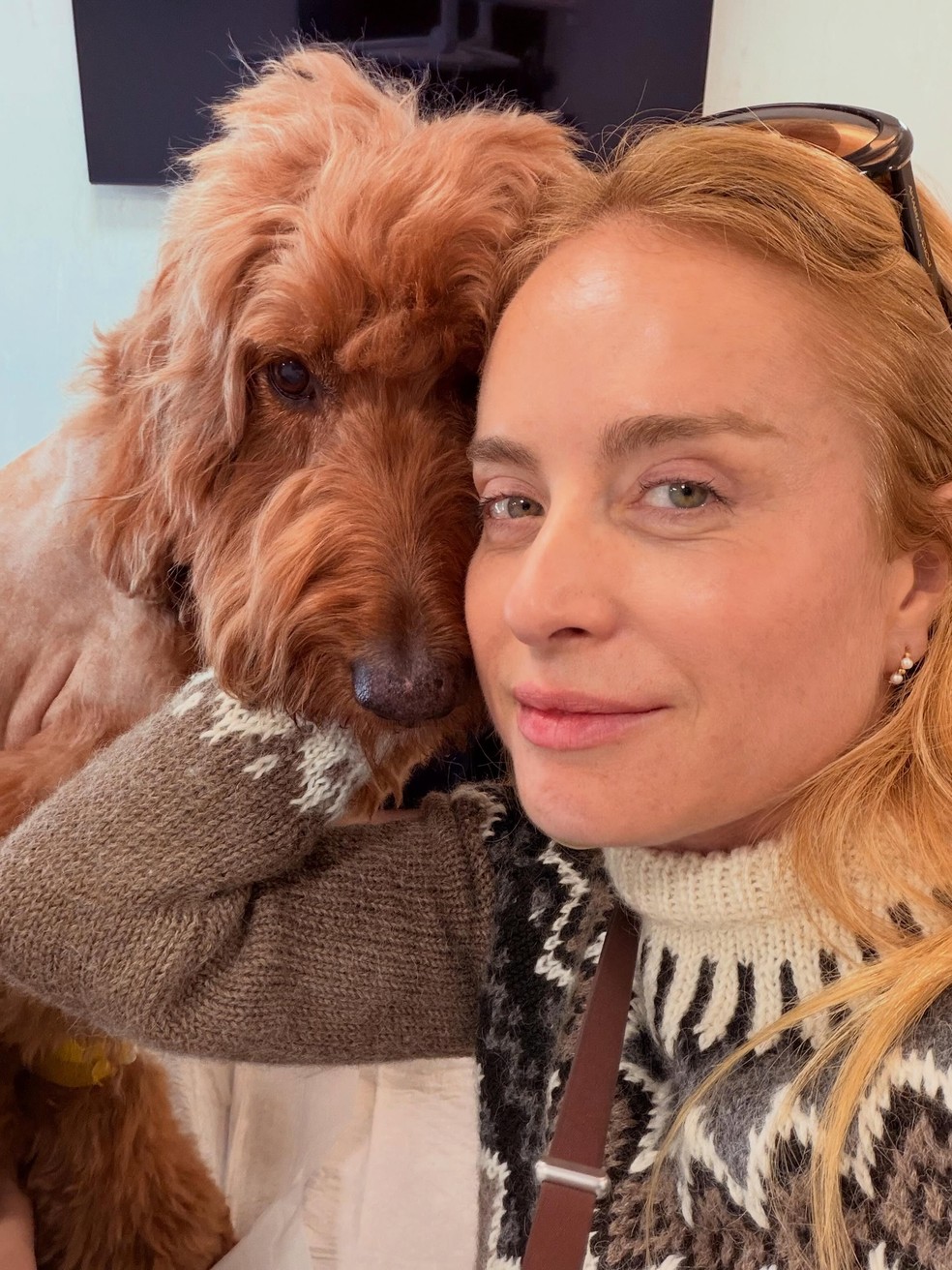 Angélica desabafa após cachorra da família receber diagnóstico delicado ...