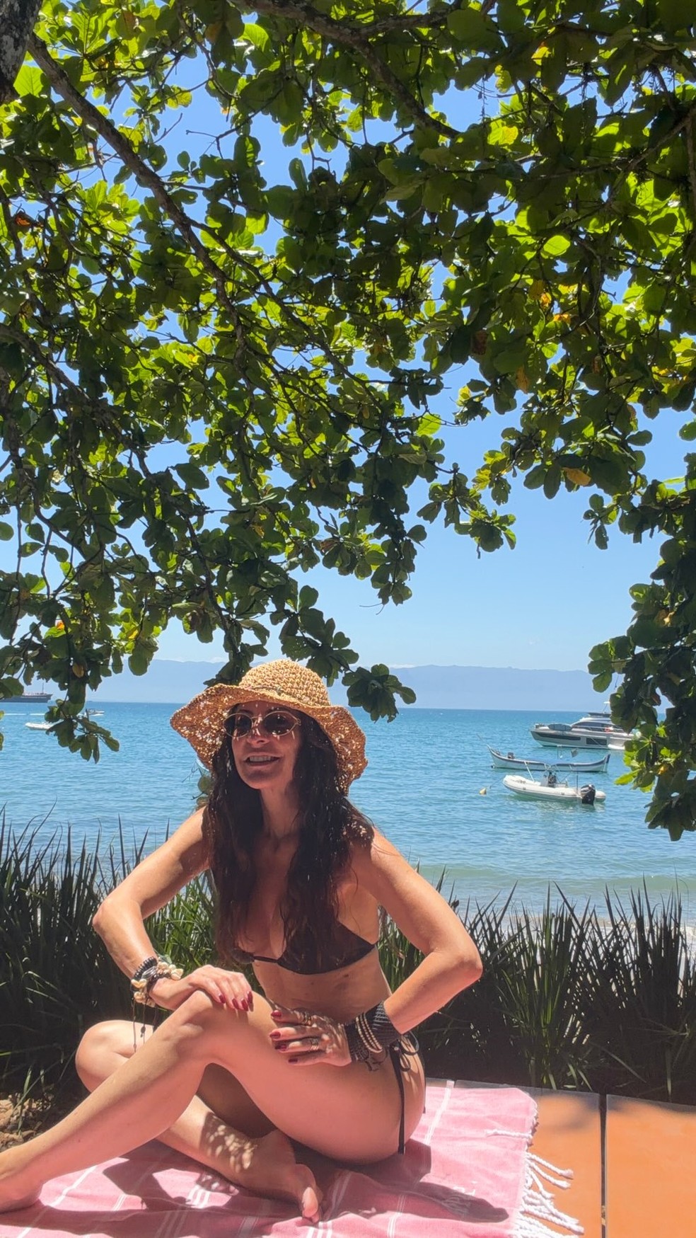 Ana Paula Padrão posa de biquíni — Foto: Reprodução/ Instagram