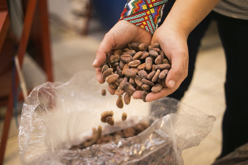 Mulheres à frente da produção de chocolte buscam indústria com mais qualidade e justiça, especialmente socioambiental — Foto: divulgação